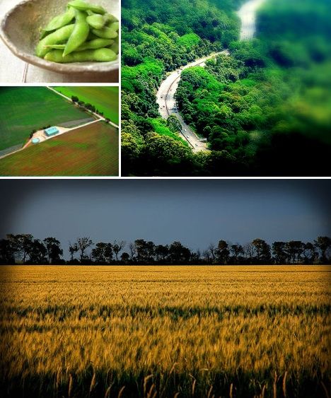 點擊進入下一頁